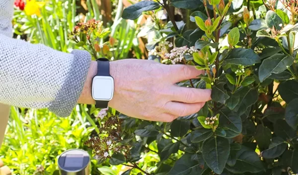 Fall-Detector-Wrist-Garden